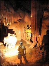 Thumbnail of photo from this article